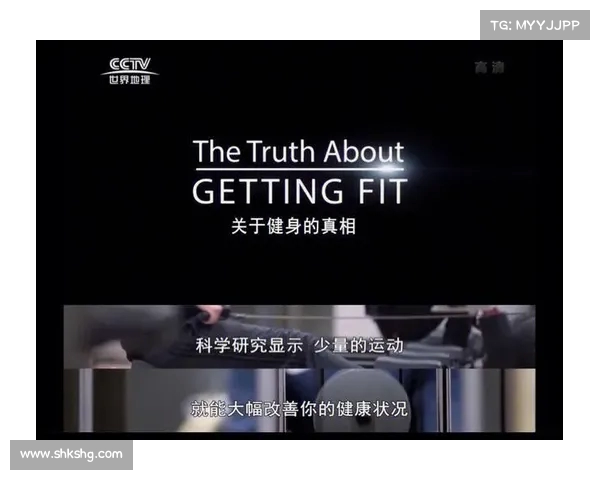 《探索Bitburner世界的无限可能:从编程新手到黑客大师的成长之路》 《探索Bitburner世界的无限可能:从编程新手到黑客大师的成长之路》